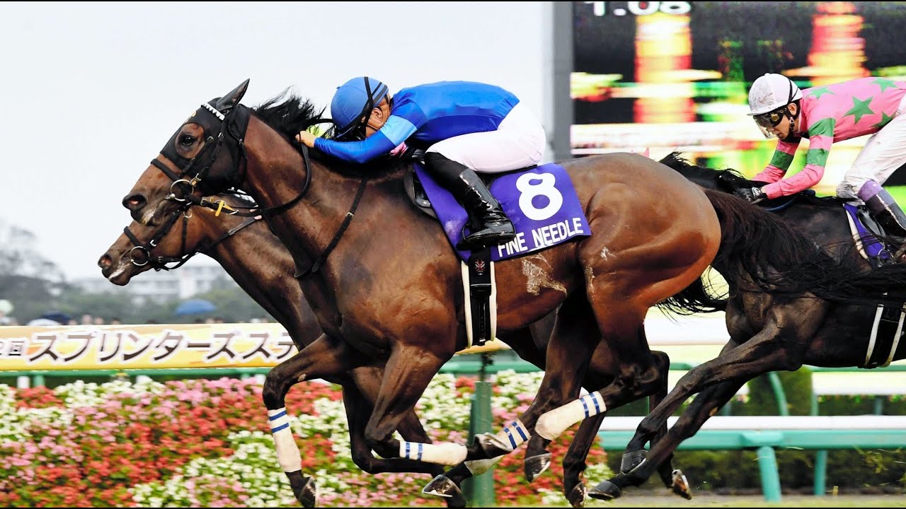 第５２回　スプリンターズステークス （ＧⅠ）　ファインニードル　牡５　57　川田将雅　2018.9.30　　出走馬：ラブカンプー 、ラインスピリット、ダイメイプリンセス、レッツゴードンキ他