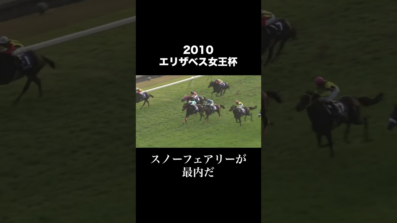 2010年 エリザベス女王杯　三冠馬アパパネを倒したスノーフェアリー
