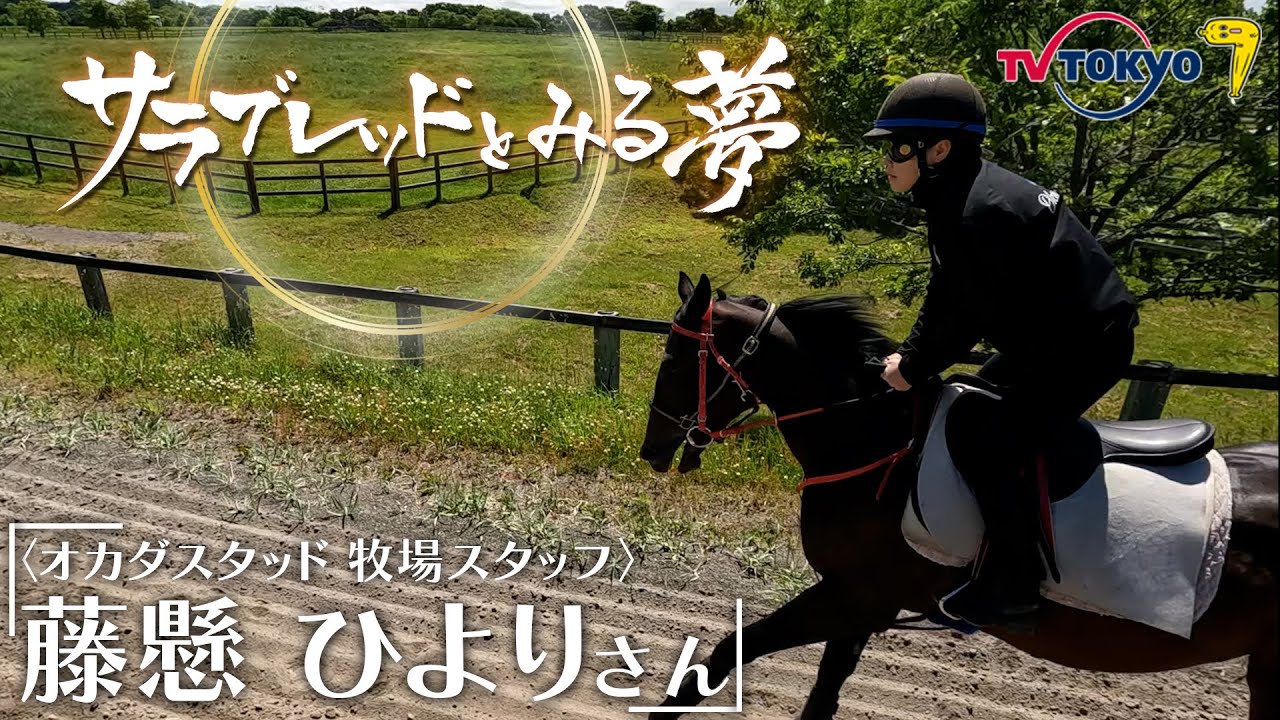 #サラブレッドとみる夢 第３話 藤懸ひよりさん（オカダスタッド育成スタッフ）