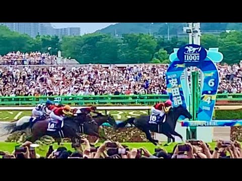 【安田記念2023】G1馬10頭の共演！現地映像