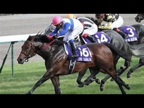 第４６回　スプリンターズステークス （ＧⅠ）　 ロードカナロア　牡４　57　岩田康誠　2012.9.30　　出走馬：カレンチャン、ドリームバレンチノ、エピセアローム 、ラッキーナイン、サンカルロ他