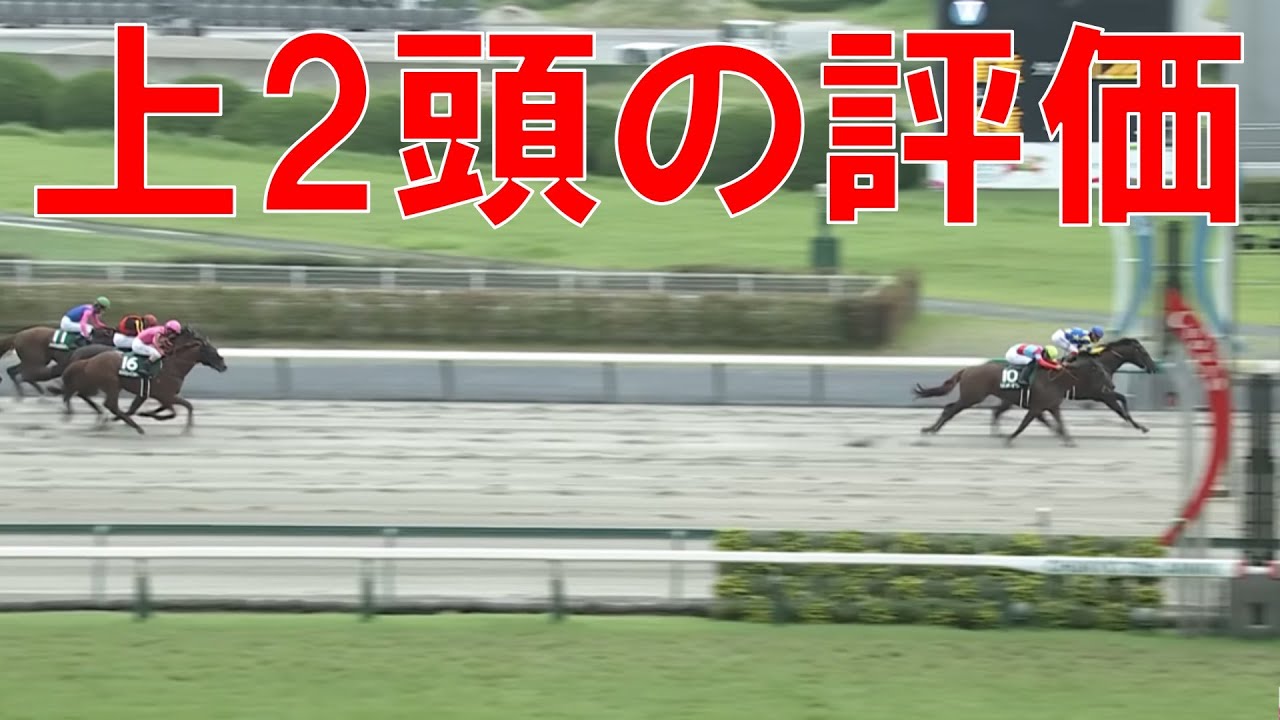 プロキオンステークス 回顧  2023　リメイク・ドンフランキーの評価