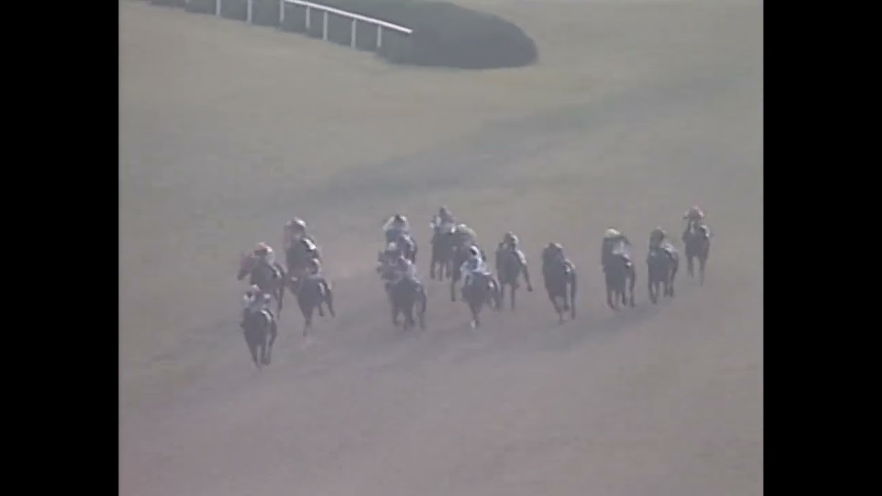 ダイタクヘリオス 1991年 第8回マイルチャンピオンシップ(GI) (優勝馬：ダイタクヘリオス)