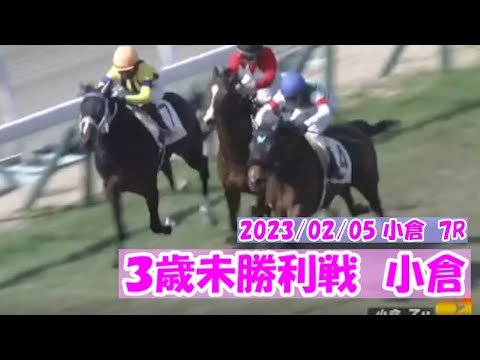 2023/02/05【パドック返し馬つき】小倉7R　３歳未勝利戦　　☆ラレーヌデリス　エピファネイア　＃レースは9分ころから