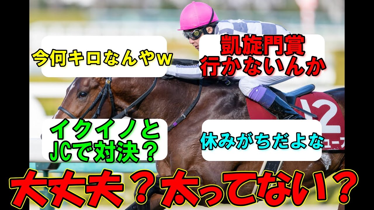 【競馬】ドウデュース天皇賞秋へ【ドウデュース】