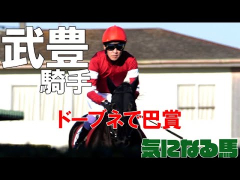 【武豊】日曜・函館5鞍メインの巴賞ドーブネに期待！中京・CBC賞、福島・第72回ラジオNIKKEI賞で気になる馬は？