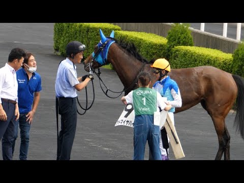 【武豊】アドマイヤハイジ、惨敗…戻って来て何度も首を傾げるレジェンド 友道調教師は上機嫌そうに出迎える
