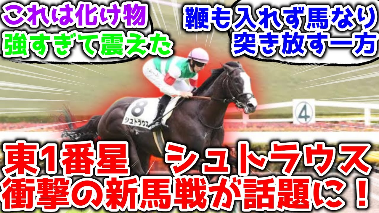 【競馬】 シュトラウス 衝撃の新馬戦が話題に！【みんなの反応】