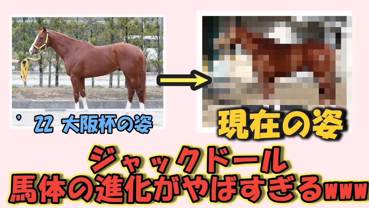 【安田記念】ジャックドールの馬体の進化がやばすぎるwwwに対するみんなの反応！！