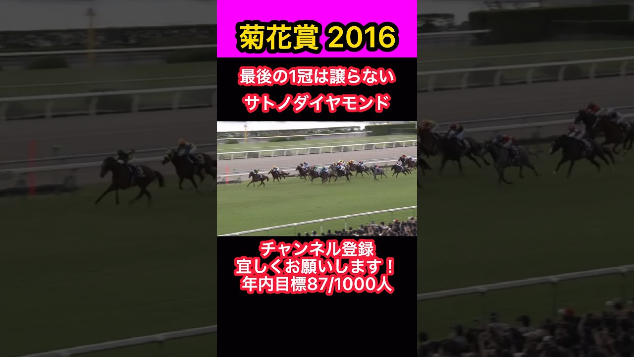 【競馬】菊花賞2016、最後の1冠は譲らない、サトノダイヤモンド #shorts #short #菊花賞 #サトノダイヤモンド #競馬