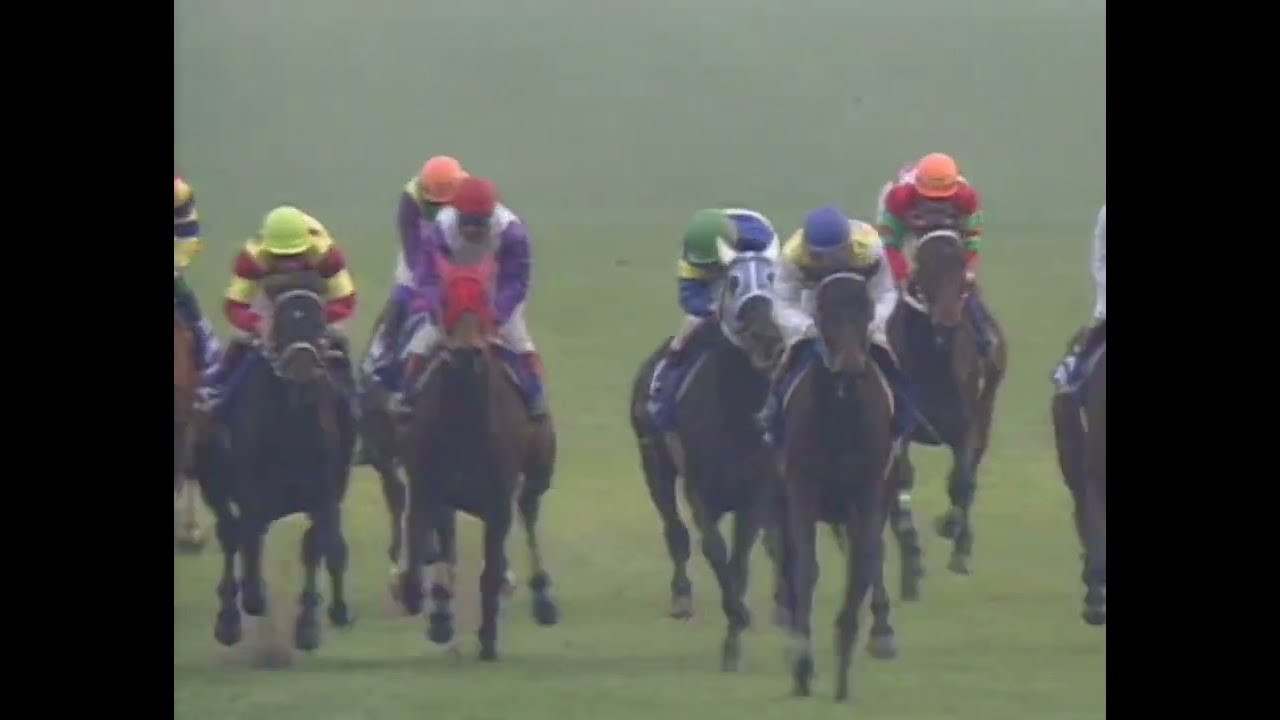 ダイタクヘリオス 1992年 第26回スプリンターズステークス(GI) (優勝馬：ニシノフラワー)