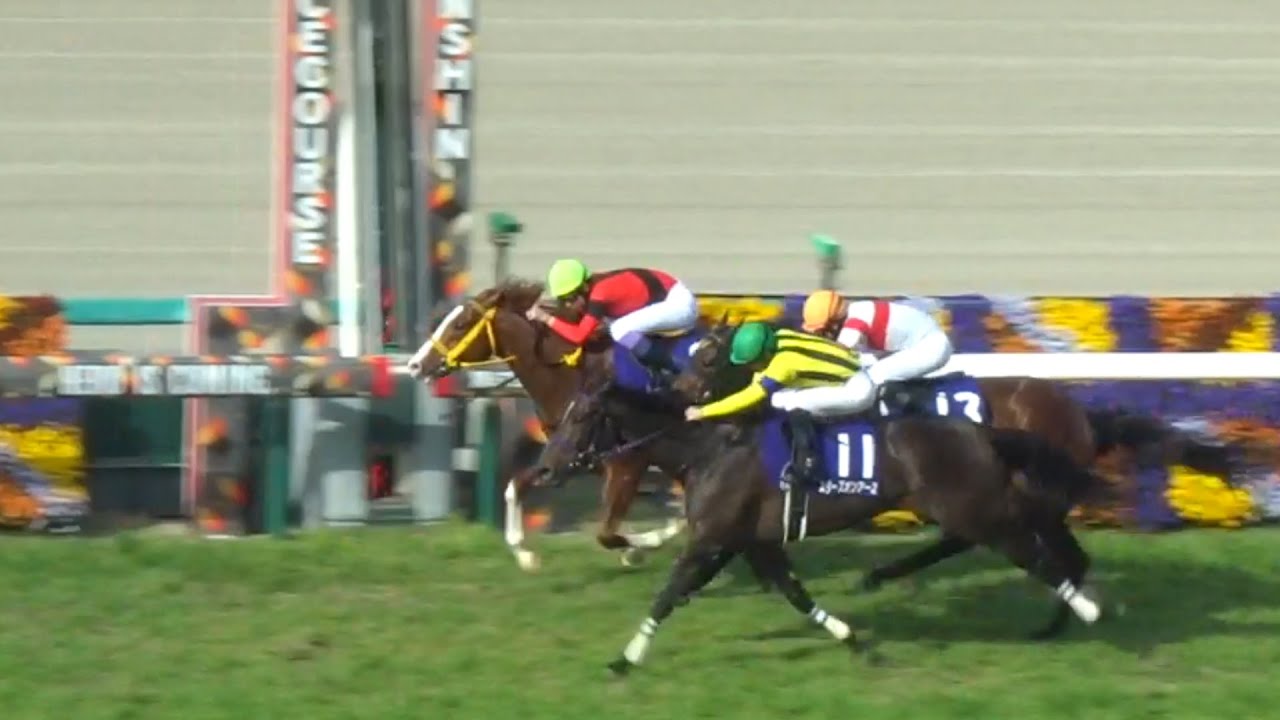 大阪杯2023の現地レース映像！精密機械の如くジャックドールがペースを作りスターズオンアースやダノンザキッドが襲い掛かる！