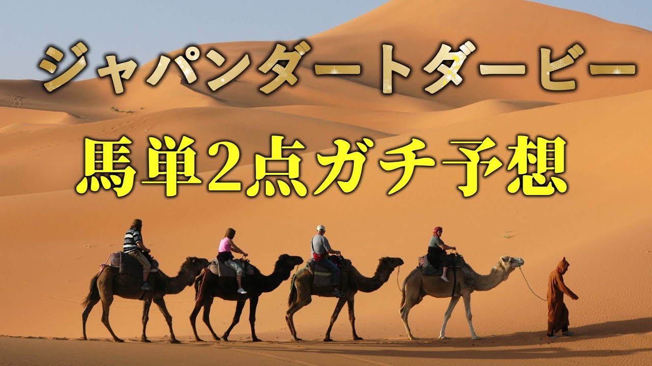 勝つのはこの馬で決まり！！　JDD2023全頭分析+予想