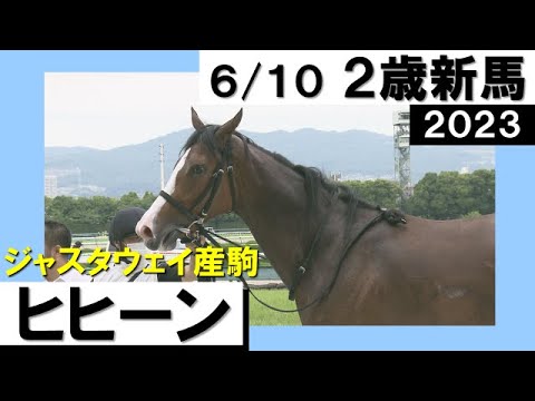 「その名もヒヒーン！！デビュー勝ち！」実況：岡安譲【カンテレ公式】2023年新馬戦