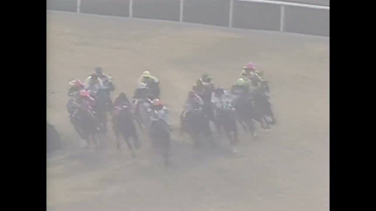 ダイタクヘリオス 1991年 第8回マイルチャンピオンシップ(GI) (優勝馬：ダイタクヘリオス) (実況：ラジオたんぱ)