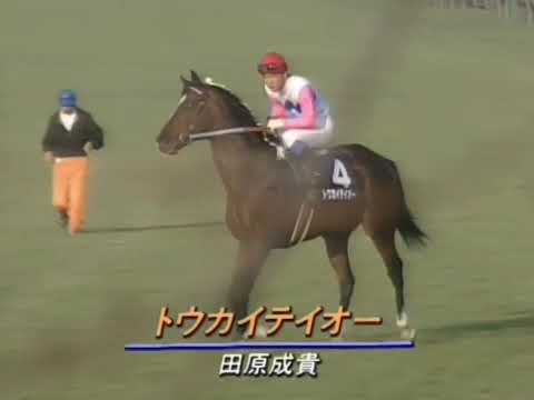 1993年12月26日  第38回 有馬記念  テイオーステップ