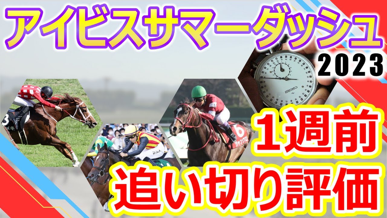 【アイビスサマーダッシュ2023】1週前追い切り評価　ジャングロ･オールアットワンス･トキメキなど、この舞台ならでは！と思わせてくれるようなスピード自慢が集結‼︎出走各馬の仕上がり具合をチェック‼︎