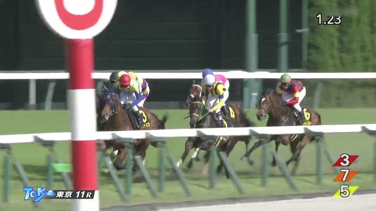 2023 05 06 東京11R プリンシパルステークス(L) パクスオトマニカ(田辺裕信)