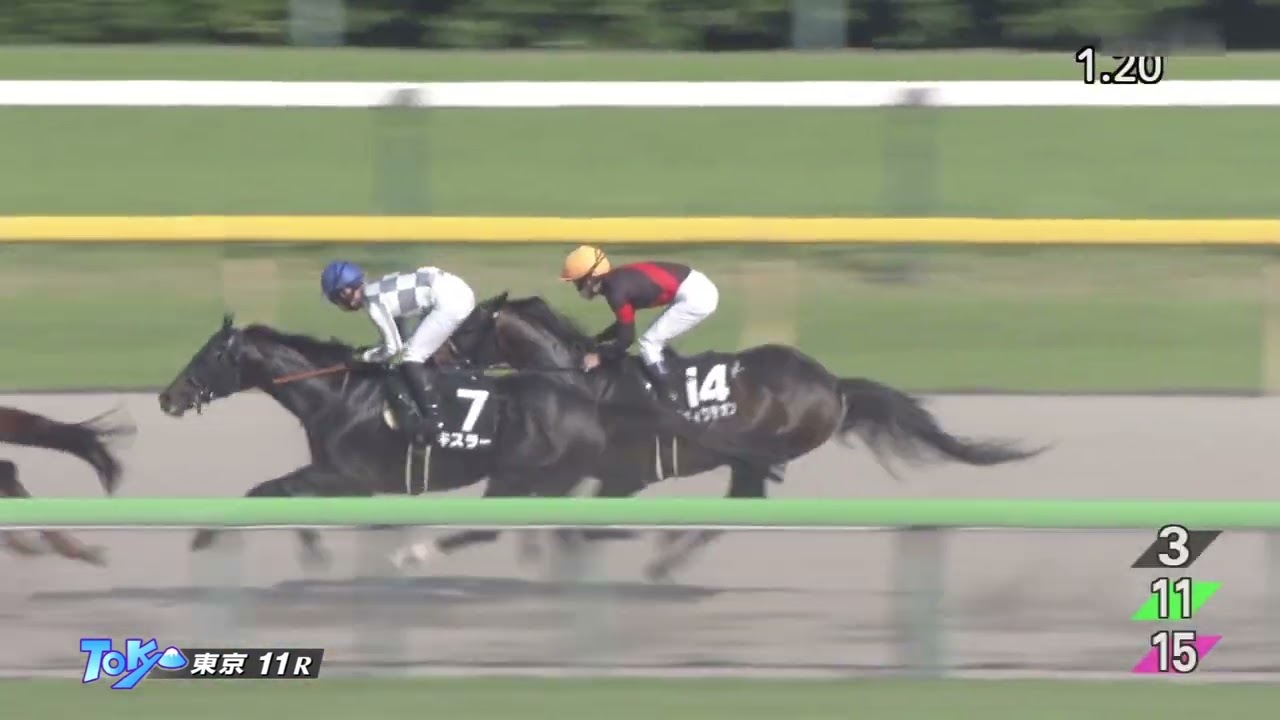 2023 06 17 東京11R スレイプニルステークス(OP) ダノンラスター(C.ルメール)