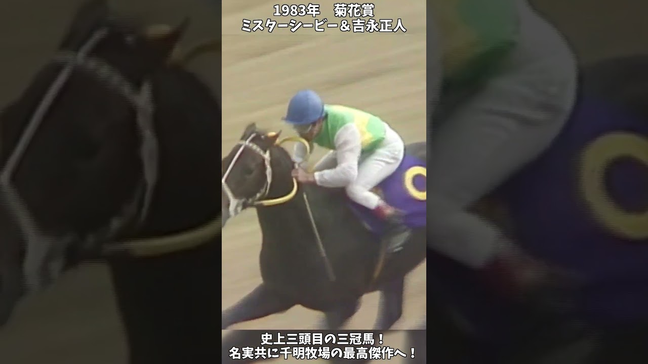 【競馬】shortで見る三冠の瞬間『ミスターシービー』名実共に千明牧場の最高傑作へ！【菊花賞】 #short
