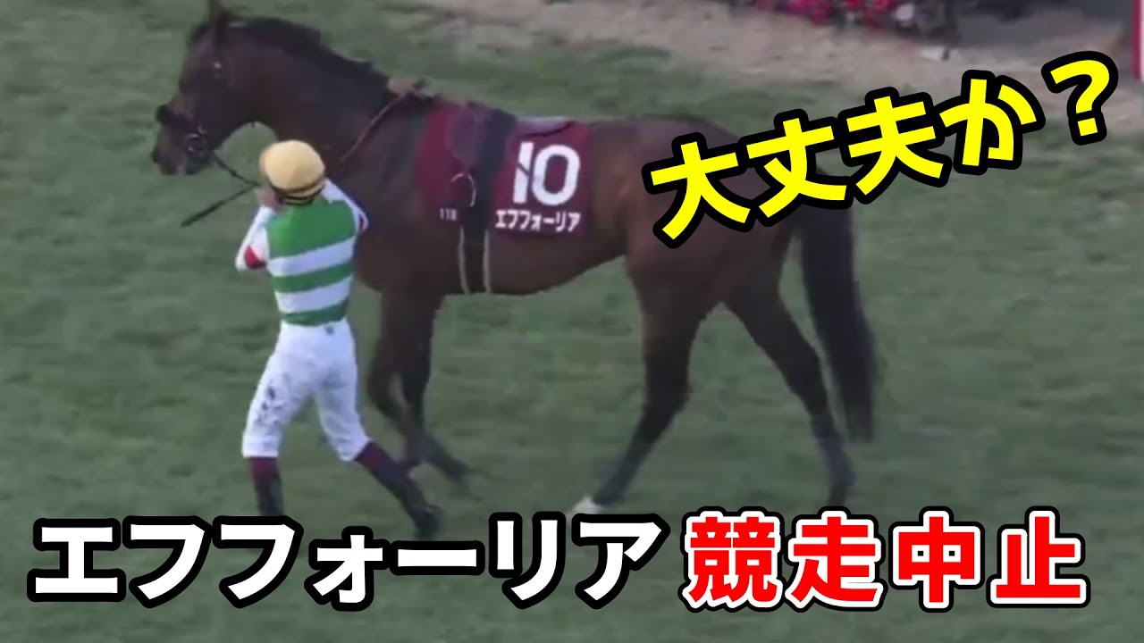 【京都記念】エフフォーリア競走中止　原因は心房細動だった