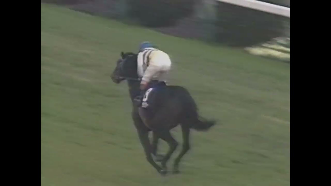 ダイタクヘリオス 1992年 第26回スプリンターズステークス(GI) (優勝馬：ニシノフラワー) (実況：ラジオたんぱ)