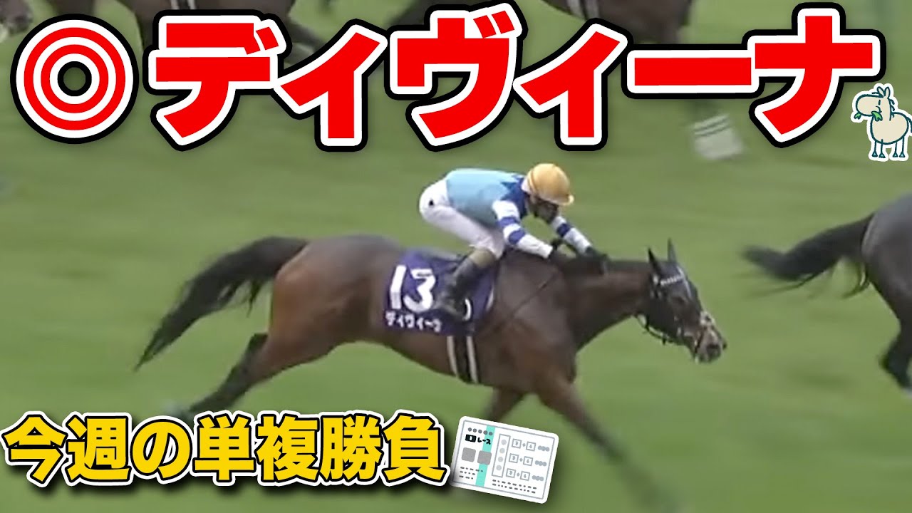 【中京記念2023】枠順決定！今週の単複勝負はディヴィーナ、君に決めた！モーリス×ヴィルシーナの血が爆発や！！