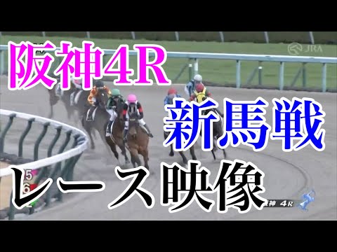 2/11 阪神4R 新馬戦 レース映像
