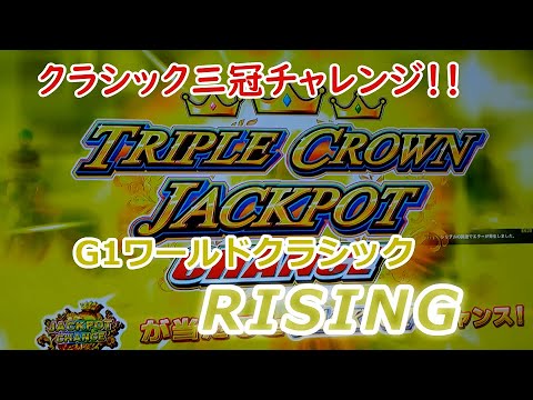 ２１８　メダルゲーム　G１ワールドクラシック　ライジング　RISING　番外編　【クラシック三冠挑戦】　フトスギモモ　菊花賞　メイン店舗