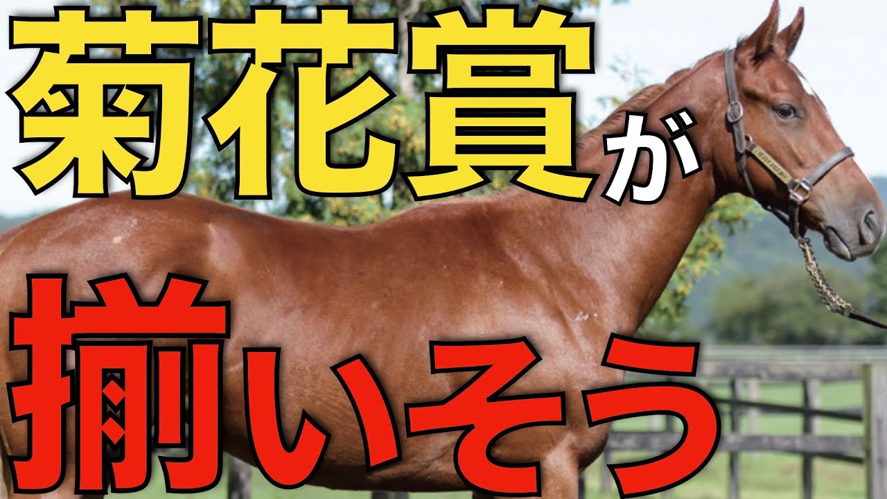 【驚いた】タスティエーラにソールオリエンスも参戦へ！久々に菊花賞が面白くなりそう。