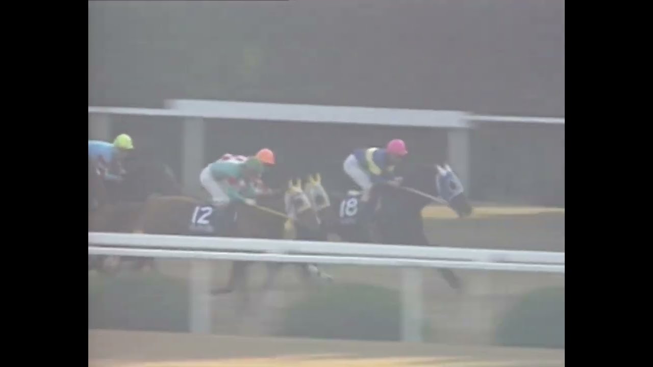 ダイタクヘリオス 1992年 第9回マイルチャンピオンシップ(GI) (優勝馬：ダイタクヘリオス)