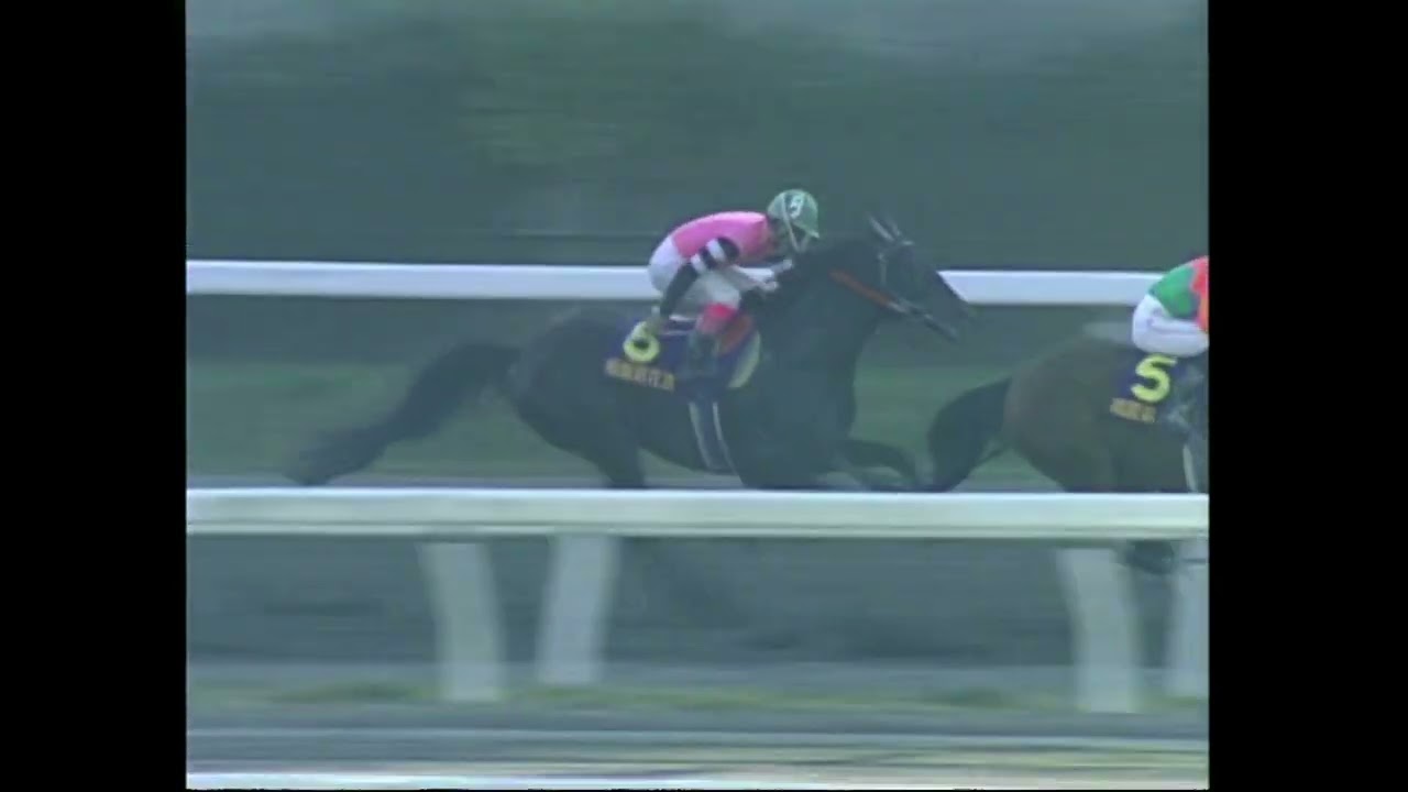 1997年11月2日　第16回南国菊花賞