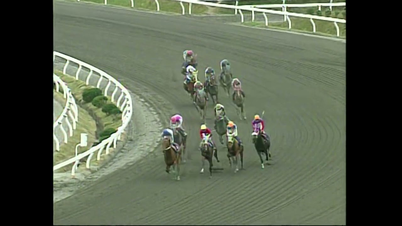 1997年11月16日　第1回黒潮菊花賞