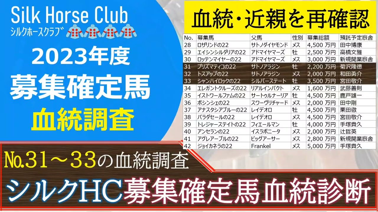 【一口馬主】シルク募集馬！一発大物を出す繁殖牝馬の仔「シャンハイロックの２２」父シルバーステート産駒初G1馬を目指す！