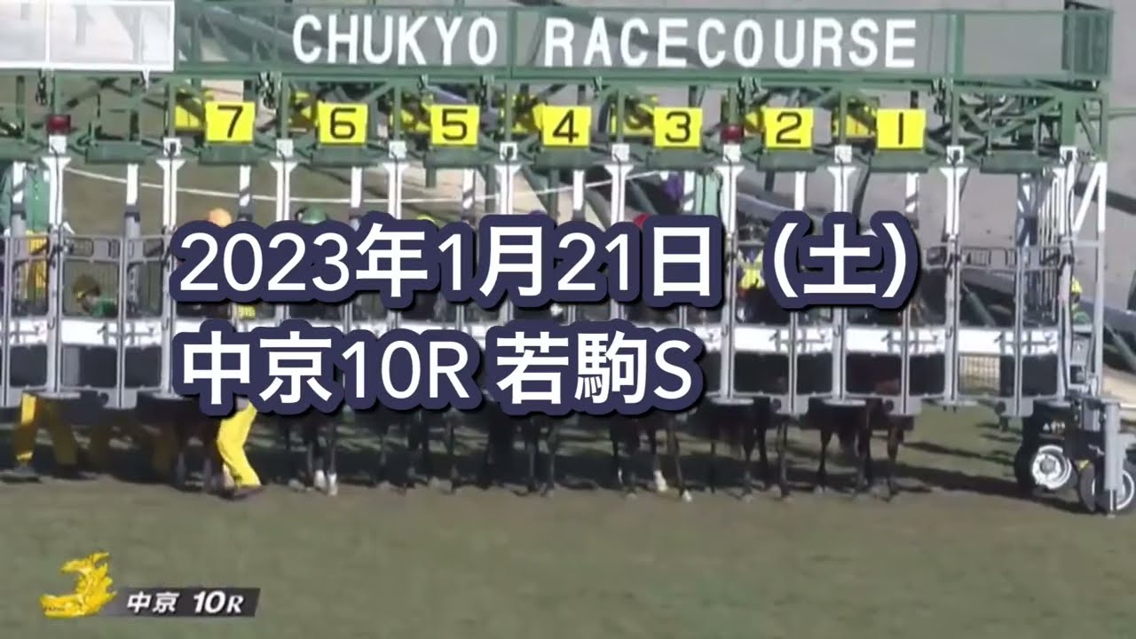 2023年1月21日（土）中京10R 若駒Sレース映像【マイネルラウレア】