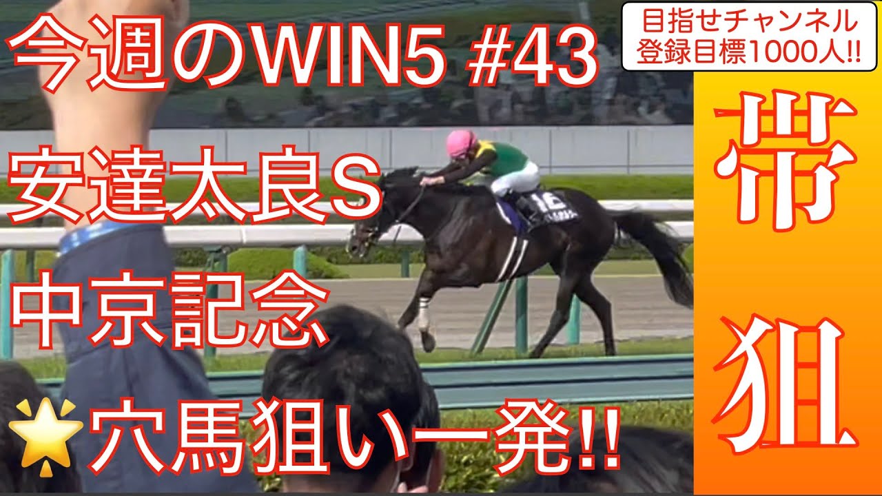 【WIN5】日曜競馬徹底予想　中京記念、安達太良S他WIN5全レースを徹底分析❗️