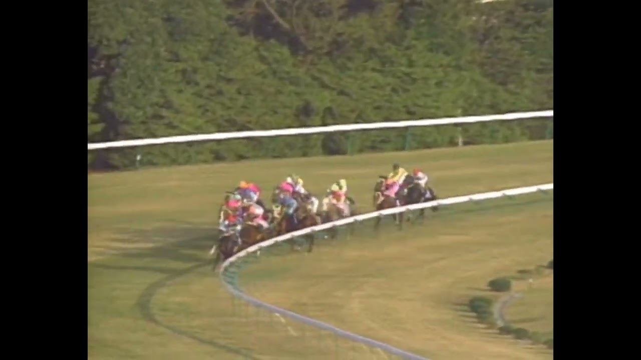 ダイタクヘリオス 1992年 第106回天皇賞(秋)(GI) (優勝馬：レッツゴーターキン)