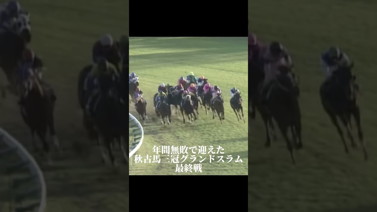 テイエムオペラオーの二十世紀最後の聖戦　#テイエムオペラオー　#有馬記念　#ワーダー