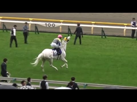 【強い！速い！白い！】ソダシ 本馬場入場の口上に場内大歓声！ 【現地 2023 ヴィクトリアマイル】