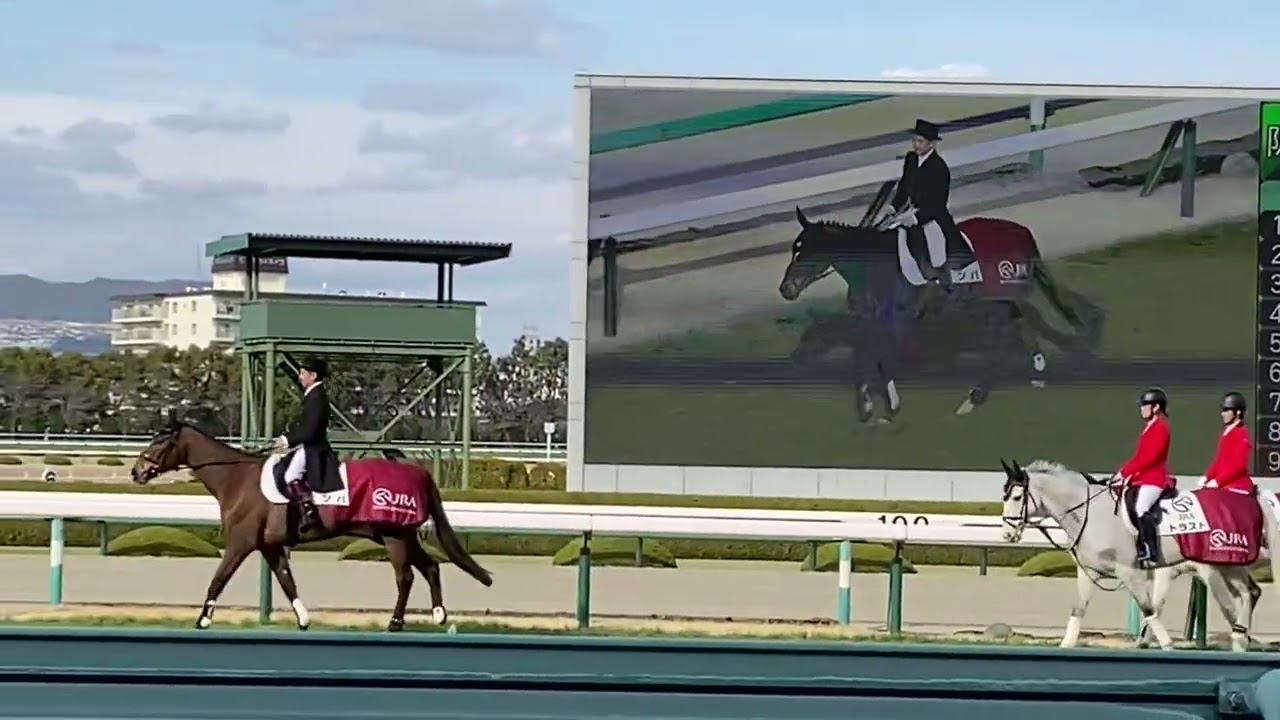 福永祐一調教師　阪神競馬場　11R　誘導馬　ミツバ　2023/3/4