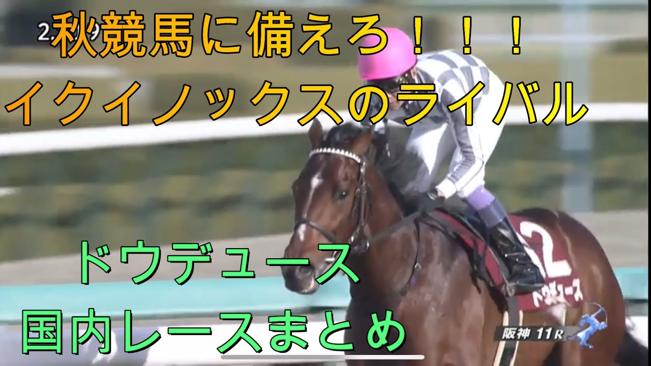 秋競馬に備えよ！ドウデュース国内レースまとめ