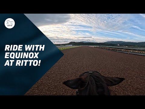 Ride Around Ritto With Equinox! イクイノックスの最終追い切りをオンカメで - 宝塚記念