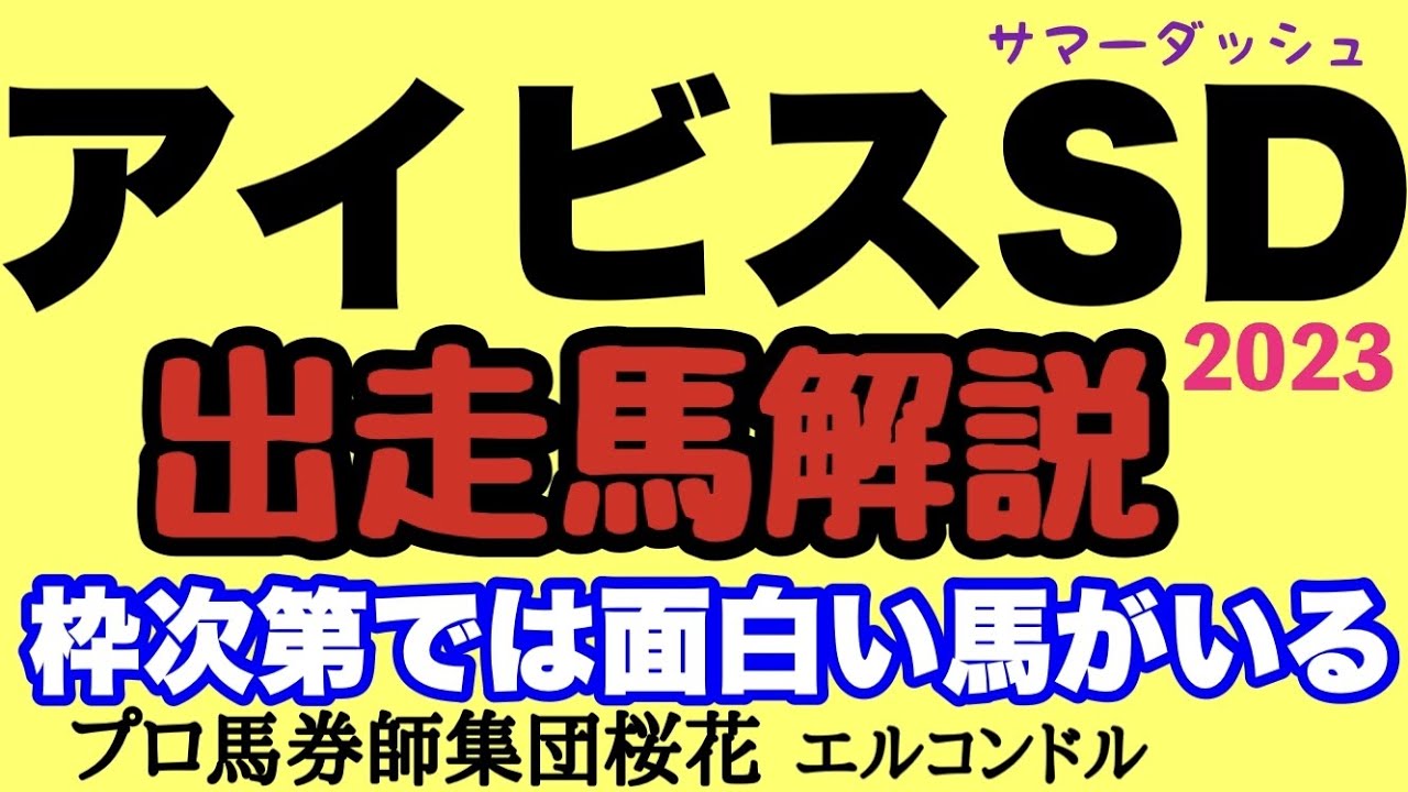 プロ馬券師集団桜花のエルコンドルのアイビスサマーダッシュ2023出走馬解説！！今年も夏の風物詩の一戦がやってくる！枠順次第では逆転のある馬とあっと驚く人気薄の馬もいるのでは？！