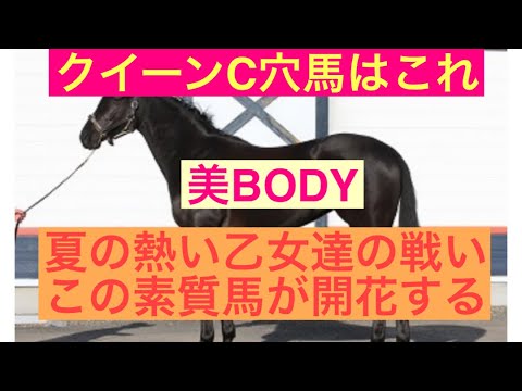 【クイーンC2023】穴馬はこの素質馬しかいない！
