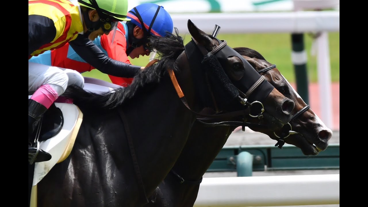 【中央競馬】馬トーーク! 中央競馬全レースライブ！
