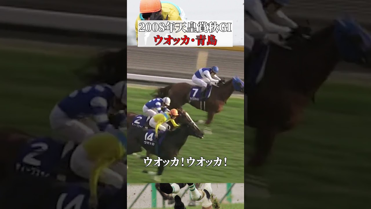 【2008年 天皇賞（秋）】ウォッカが牝馬対決を制す