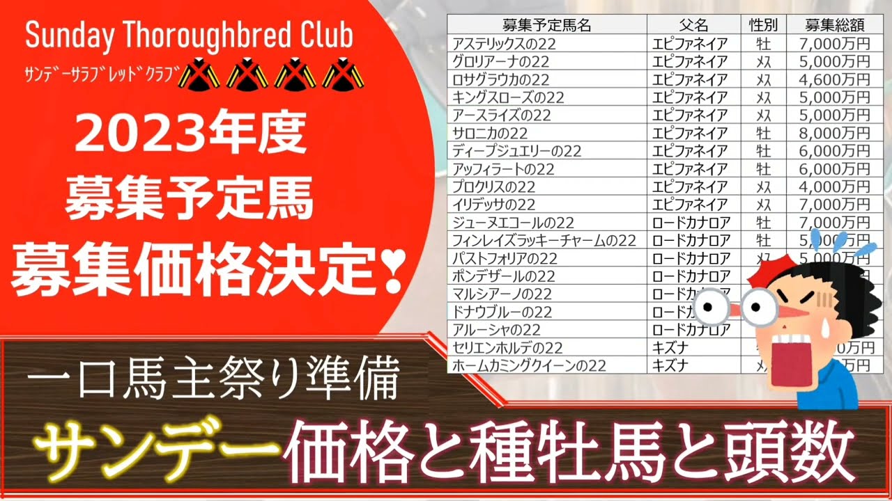 【一口馬主】サンデーサラブレッドクラブ募集予定馬価格発表！やっぱり高いですね・・・