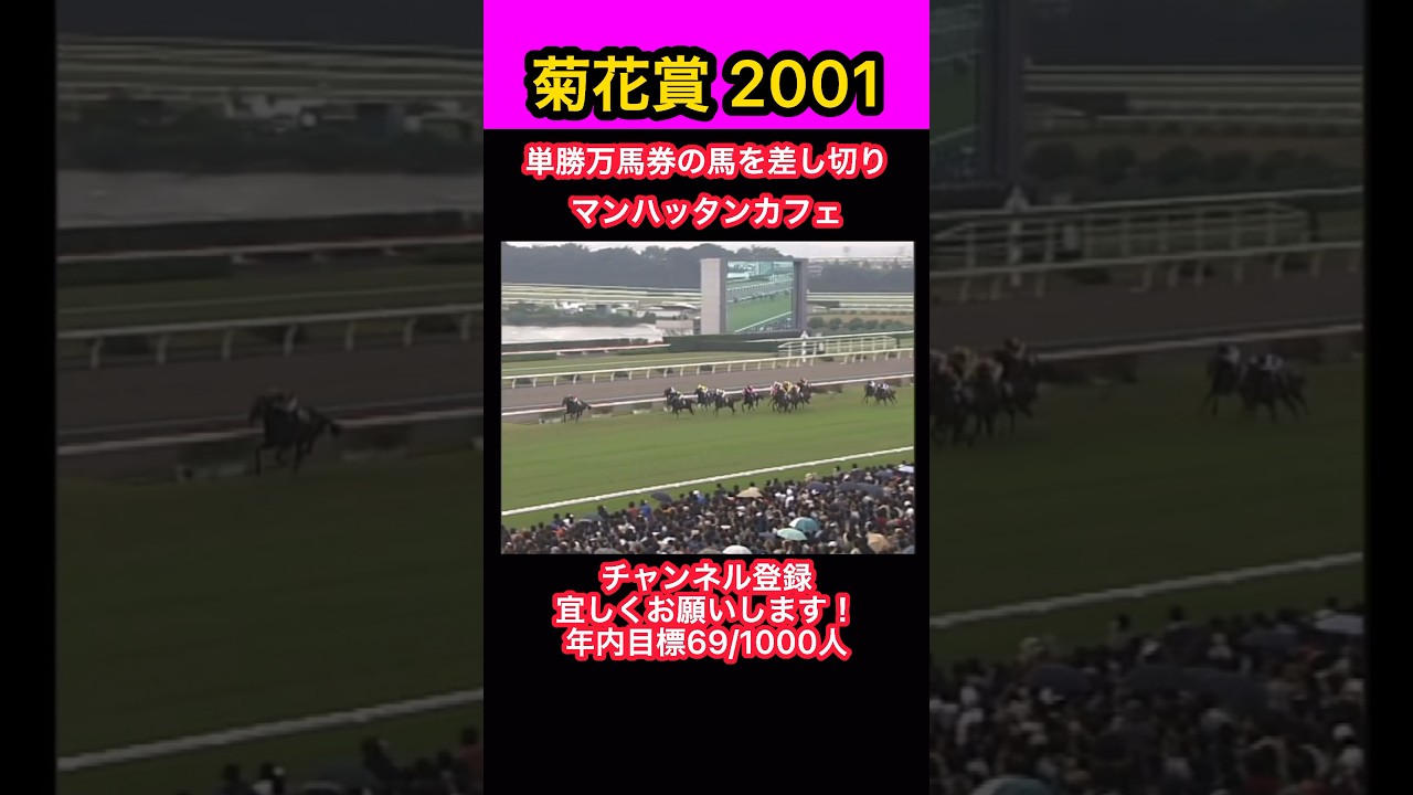 【競馬】菊花賞2001、単勝万馬券の馬を差し切り、マンハッタンカフェ #shorts #short #菊花賞 #マンハッタンカフェ #競馬