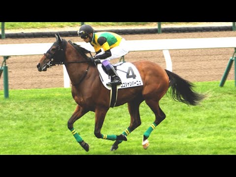 【武豊】武幸四郎からの本馬場入場！