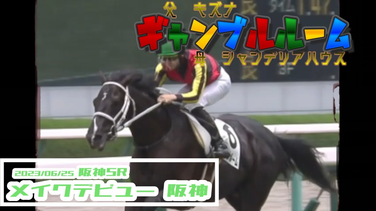2023/06/25【パドック返し馬つき】阪神5R　メイクデビュー阪神　☆ギャンブルルーム　キズナ　　＃レースは11分ころから